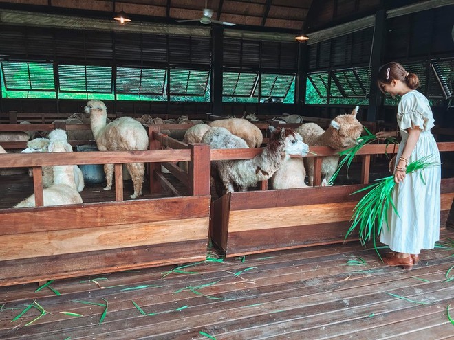 Khao Yai - thiên đường châu Âu thu nhỏ ngay sát Bangkok không phải ai cũng biết, sở hữu hàng loạt góc check-in đẹp tựa trời Tây - Ảnh 11.