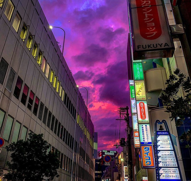 Trước siêu bão Hagibis đổ bộ, xôn xao loạt hình ảnh bầu trời Nhật Bản bất ngờ chuyển sang màu tím kì lạ - Ảnh 3.