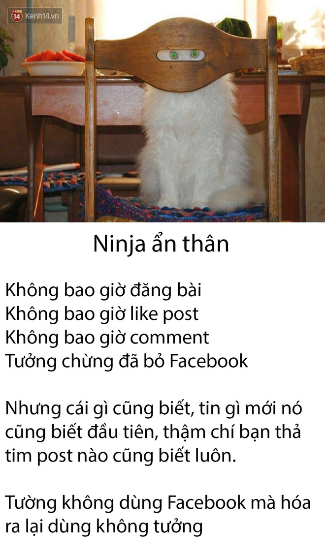 Những kiểu người điển hình xuất hiện nhan nhản trên mạng xã hội mà chúng ta chắc chắn đã gặp - Ảnh 9.