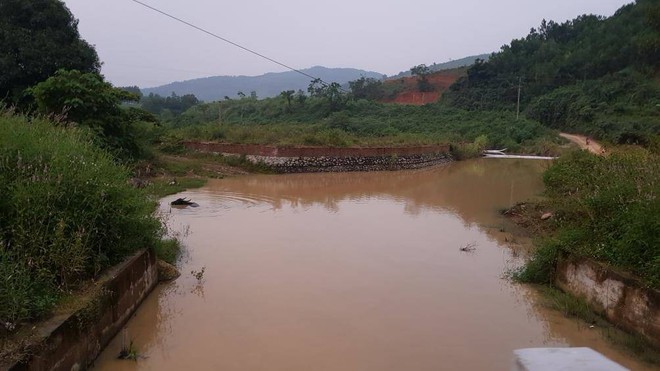 Trâu đằm suối, bò, dê uống nước kênh dẫn vào nhà máy nước sạch sông Đà - Ảnh 3.