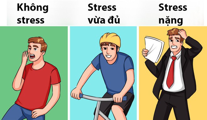 Không phải stress nào cũng giống nhau: Có loại nguy hiểm chết người, loại khác tốt cho sức khỏe - Ảnh 5.