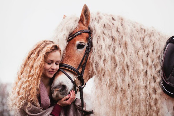 Chiêm ngưỡng vẻ đẹp kiêu sa của nàng ngựa có chiếc bờm dài bồng bềnh hệt như nàng công chúa tóc mây Rapunzel - Ảnh 12.