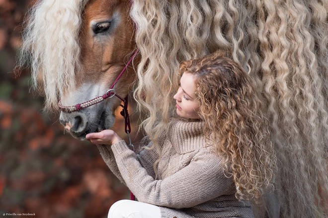 Chiêm ngưỡng vẻ đẹp kiêu sa của nàng ngựa có chiếc bờm dài bồng bềnh hệt như nàng công chúa tóc mây Rapunzel - Ảnh 11.
