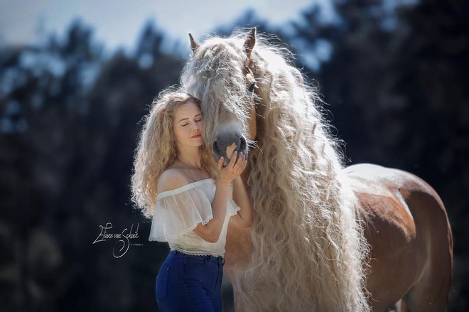 Chiêm ngưỡng vẻ đẹp kiêu sa của nàng ngựa có chiếc bờm dài bồng bềnh hệt như nàng công chúa tóc mây Rapunzel - Ảnh 7.