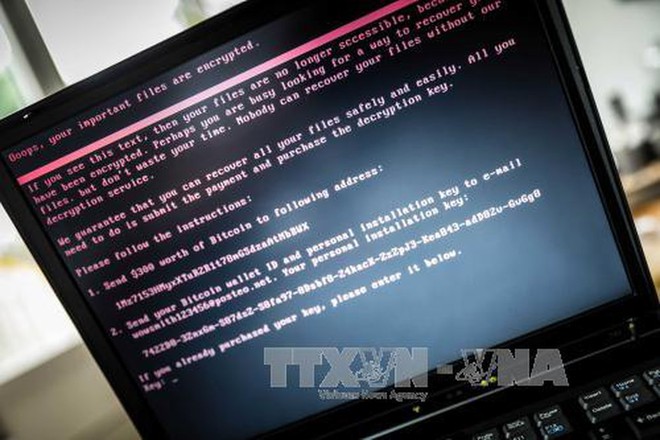 Tin tặc đánh cắp dữ liệu cá nhân lưu giữ tại đại học ANU, Australia - Ảnh 1.