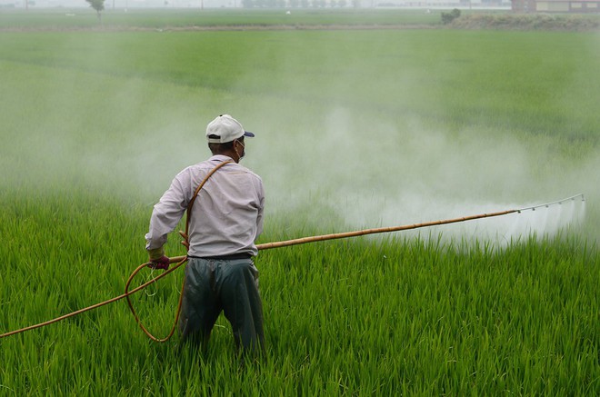 Nông thôn hay thành thị - đâu mới là nơi trong lành và đáng sống nhất? Câu trả lời không đơn giản như bạn tưởng - Ảnh 3.