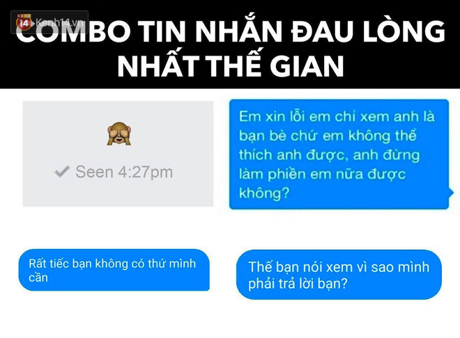 Có mỗi chuyện mua mèo ở đâu cũng gây bão MXH? Ủa mệt không? Mệt thì coi cẩm nang để hỏi phát ăn luôn nè! - Ảnh 9.