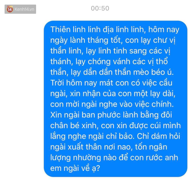 Có mỗi chuyện mua mèo ở đâu cũng gây bão MXH? Ủa mệt không? Mệt thì coi cẩm nang để hỏi phát ăn luôn nè! - Ảnh 3.