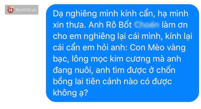 Có mỗi chuyện mua mèo ở đâu cũng gây bão MXH? Ủa mệt không? Mệt thì coi cẩm nang để hỏi phát ăn luôn nè! - Ảnh 6.