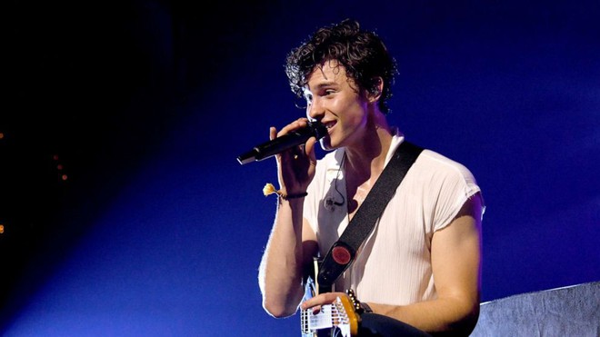 Quê độ như Shawn Mendes: Nhiệt tình ghép cặp kết đôi cho fan đủ kiểu xong mới phát hiện ra họ là... anh em ruột! - Ảnh 3.