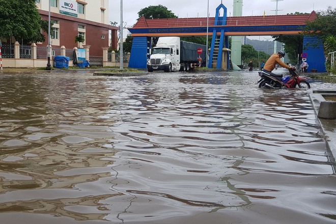 Đà Nẵng: Cây xanh ngã hàng loạt sau bão số 5, nhiều đoạn đường bị ngập khiến giao thông hỗn loạn - Ảnh 9.