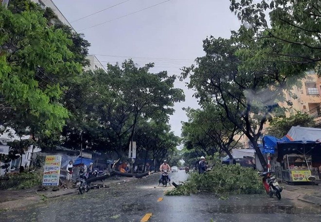 Đà Nẵng: Cây xanh đổ hàng loạt sau bão số 5, nhiều đoạn đường bị ngập khiến giao thông hỗn loạn - Ảnh 4.