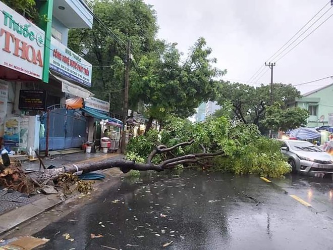 Đà Nẵng: Cây xanh đổ hàng loạt sau bão số 5, nhiều đoạn đường bị ngập khiến giao thông hỗn loạn - Ảnh 12.