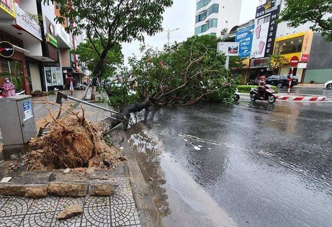 Đà Nẵng: Cây xanh ngã hàng loạt sau bão số 5, nhiều đoạn đường bị ngập khiến giao thông hỗn loạn - Ảnh 1.