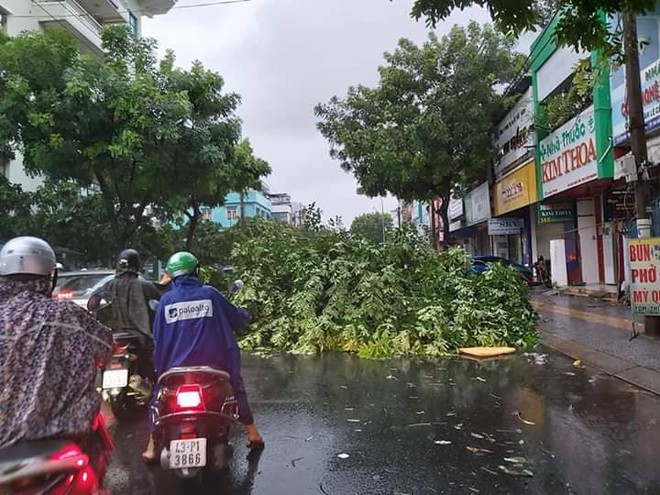 Đà Nẵng: Cây xanh đổ hàng loạt sau bão số 5, nhiều đoạn đường bị ngập khiến giao thông hỗn loạn - Ảnh 12.