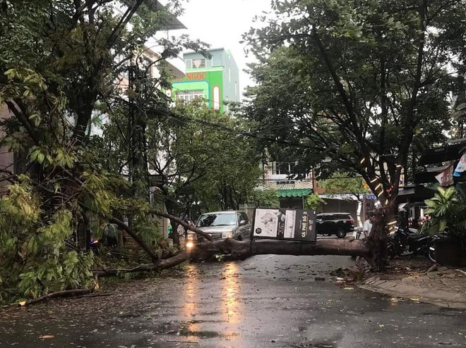 Đà Nẵng: Cây xanh đổ hàng loạt sau bão số 5, nhiều đoạn đường bị ngập khiến giao thông hỗn loạn - Ảnh 4.