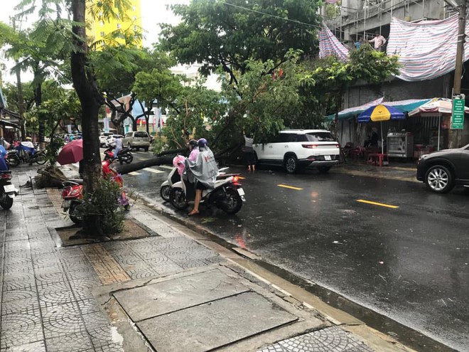 Đà Nẵng: Cây xanh đổ hàng loạt sau bão số 5, nhiều đoạn đường bị ngập khiến giao thông hỗn loạn - Ảnh 6.