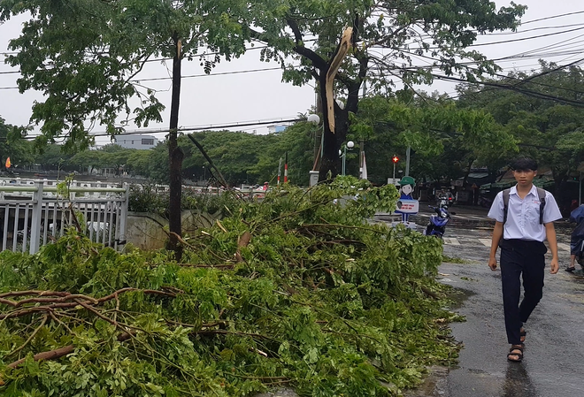 Đà Nẵng: Công văn cho học sinh trên toàn thành phố nghỉ học do bão số 5 lan truyền trên Facebook là giả - Ảnh 3.