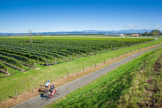 Giải mã tên gọi thành phố Nelson, New Zealand qua từ điển của du học sinh Việt - Ảnh 4.