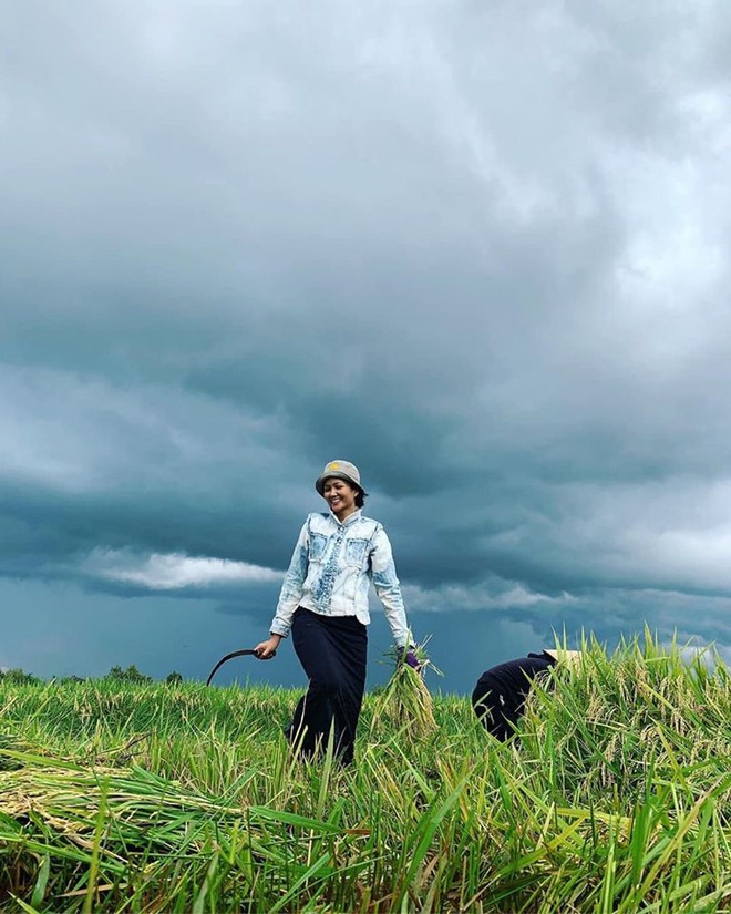 Hết Đen Vâu chăn lợn, đến HHen Niê tuyên bố dừng đồng hành với HHHV để về quê... hí hửng ra ruộng gặt lúa - Ảnh 1.