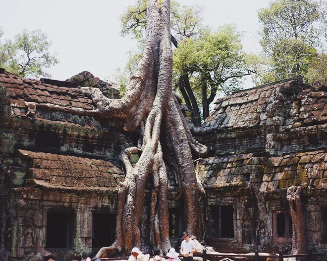 Báo nước ngoài chọn ra 7 địa điểm tuyệt vời ở châu Á dành cho những ai muốn đi du lịch một mình, xuất hiện cả một địa điểm quen thuộc ở Việt Nam - Ảnh 6.