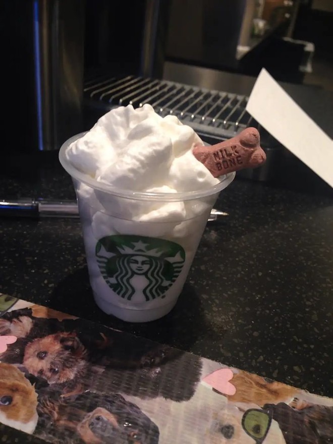 Góc đáng yêu: Starbucks miễn phí thức uống với tên gọi puppuccino dành riêng cho các boss cún đi cà phê cùng chủ - Ảnh 3.