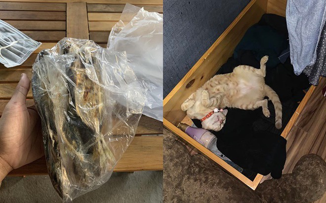 Đi học xa, sen bị mẹ sai cầm bọc c&aacute; nướng n&oacute;ng hổi l&ecirc;n cho qu&agrave;ng thượng c&ograve;n m&igrave;nh nhịn th&egrave;m: Ủa, ai l&agrave; con ruột vậy? - Ảnh 1.