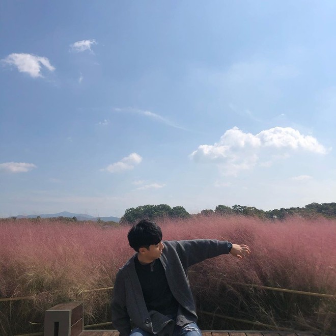 Mỗi độ thu về, cánh đồng cỏ hồng ở Hàn Quốc lại là địa điểm được hội thích sống ảo check in nhiều nhất trên Instagram - Ảnh 5.