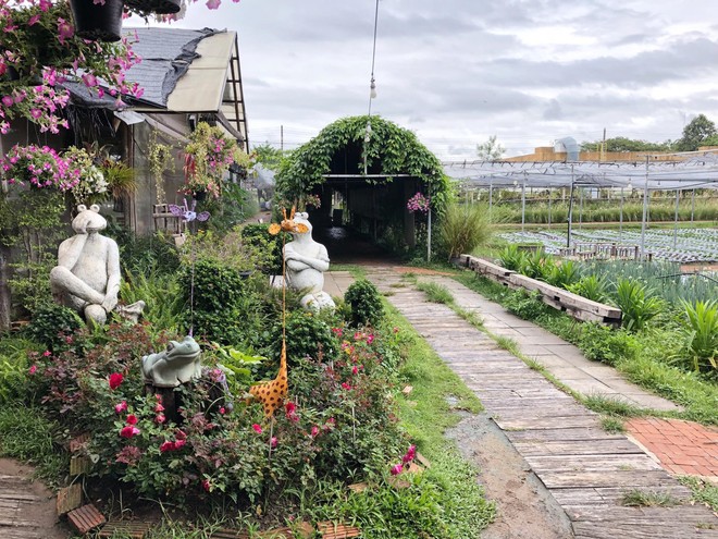 Đến Chiang Mai mà không đi ăn ở nông trại sẽ là một thiếu sót lớn đó, ca sĩ Quang Vinh và mầm non giải trí Liên Bỉnh Phát còn từng mê mệt món ăn ở đây này - Ảnh 3.