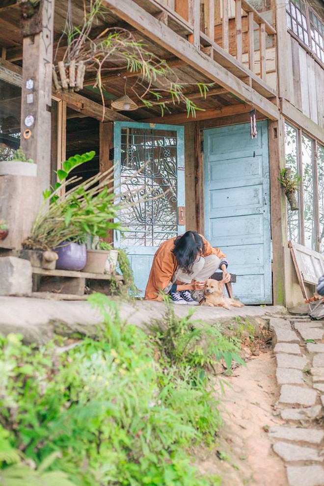 Going to Da Lat to become a "lotus" at 5 super cute dog cafes, now taking pictures to check-in with the new boss is a hot trend!  - Photo 30.