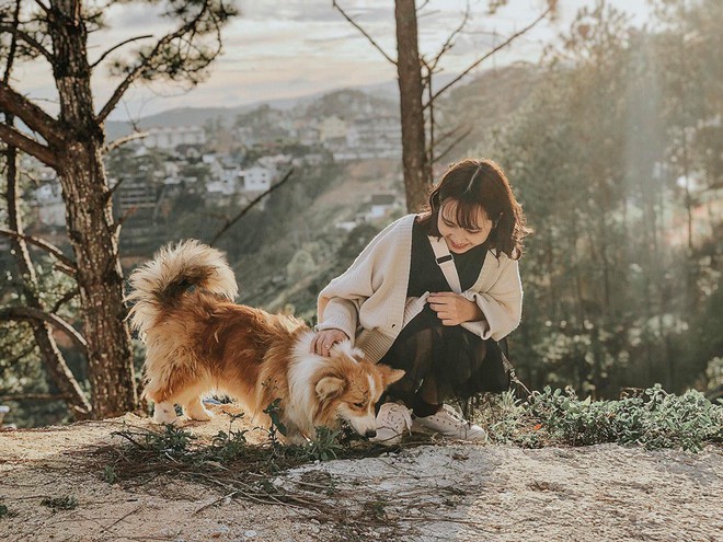 Going to Da Lat to become a "lotus" at 5 super cute dog cafes, now taking pictures to check-in with the new boss is a hot trend!  - Photo 13.