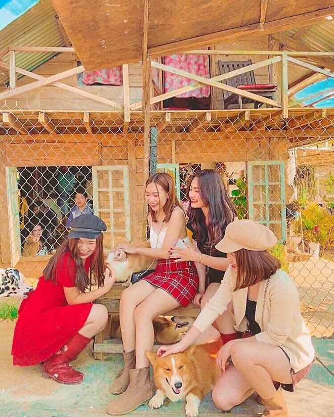 L&ecirc;n Đ&agrave; Lạt h&oacute;a &ldquo;con sen&rdquo; ở 5 qu&aacute;n cafe c&uacute;n si&ecirc;u dễ thương, giờ chụp ảnh check-in với boss mới l&agrave; hot trend nh&eacute;! - Ảnh 6.