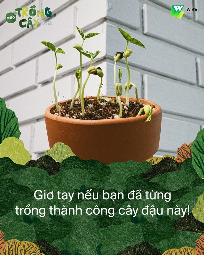 Một tiết học lạ của các Vệ binh Xanh lá sắp diễn ra tại Hà Nội - Ảnh 2.