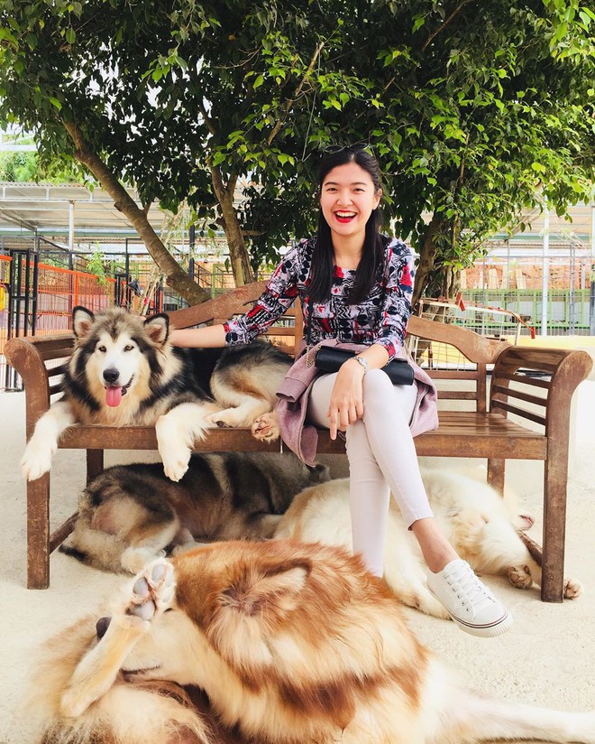 L&ecirc;n Đ&agrave; Lạt h&oacute;a &ldquo;con sen&rdquo; ở 5 qu&aacute;n cafe c&uacute;n si&ecirc;u dễ thương, giờ chụp ảnh check-in với boss mới l&agrave; hot trend nh&eacute;! - Ảnh 17.