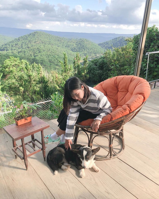 L&ecirc;n Đ&agrave; Lạt h&oacute;a &ldquo;con sen&rdquo; ở 5 qu&aacute;n cafe c&uacute;n si&ecirc;u dễ thương, giờ chụp ảnh check-in với boss mới l&agrave; hot trend nh&eacute;! - Ảnh 12.