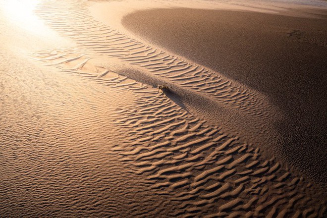 Khi phó nháy xịn trổ tài sống ảo: Không cần Photoshop, chụp vài hạt cát mà như hành tinh xa triệu cây số - Ảnh 2.