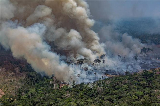  Cháy rừng lan rộng tại miền Nam Brazil  - Ảnh 1.