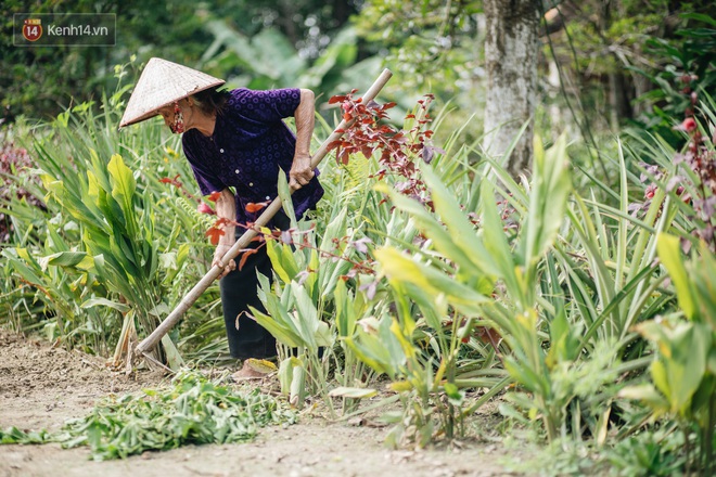 Cuộc sống lạc quan, tự tại của cụ b&#224; đạp xe l&#234;n ủy ban x&#227; xin ra khỏi hộ ngh&#232;o: &quot;11 đứa con m&#224; tui chưa phải phiền đến đứa m&#244;&quot; - Ảnh 11.