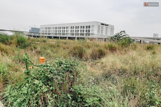 Bến xe Miền Đ&ocirc;ng mới trị gi&aacute; 4.000 tỉ đồng đ&atilde; ho&agrave;n th&agrave;nh nhưng vẫn &aacute;n binh bất động, cỏ dại phủ k&iacute;n xung quanh - Ảnh 10.