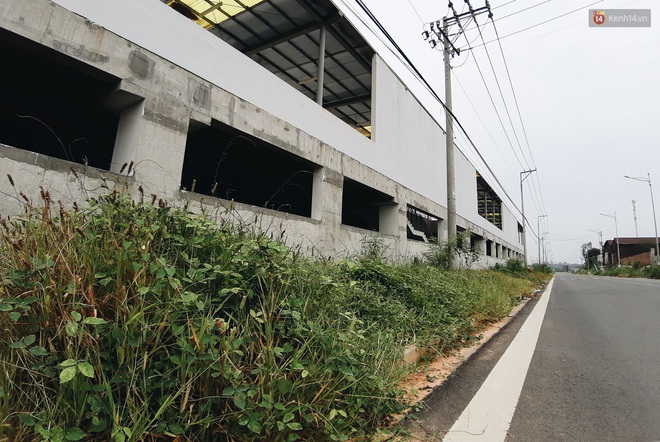 Bến xe Miền Đ&ocirc;ng mới trị gi&aacute; 4.000 tỉ đồng đ&atilde; ho&agrave;n th&agrave;nh nhưng vẫn &aacute;n binh bất động, cỏ dại phủ k&iacute;n xung quanh - Ảnh 19.