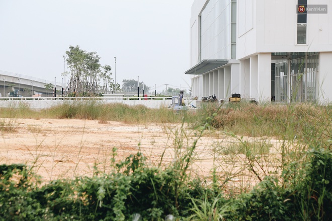 Bến xe Miền Đ&ocirc;ng mới trị gi&aacute; 4.000 tỉ đồng đ&atilde; ho&agrave;n th&agrave;nh nhưng vẫn &aacute;n binh bất động, cỏ dại phủ k&iacute;n xung quanh - Ảnh 8.
