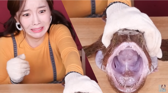 Đã tìm ra thánh lật mặt trong giới mukbang: Trước đó còn hốt hoảng vật lộn với cá miệng rộng, vài giây sau đã ăn ngon lành như chưa có chuyện gì xảy ra - Ảnh 3.