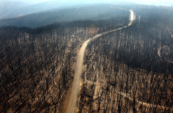 Cháy rừng Australia khủng khiếp hơn, 6 triệu người trong tình trạng khẩn cấp - Ảnh 2.