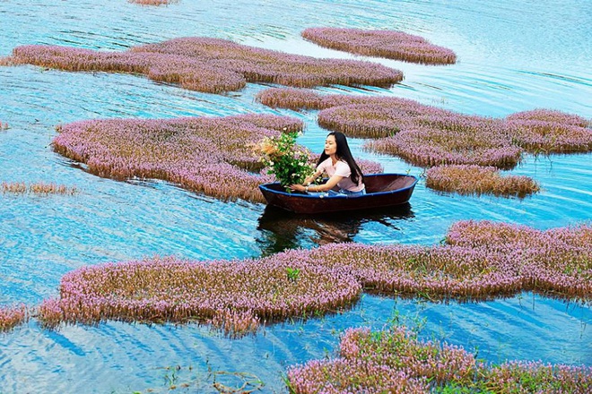 Dân mạng phát sốt trước hồ Tảo Hồng có thật 100% giữa Việt Nam, lên hình muốn “ảo tung chảo” thì phải nhớ chỉnh màu? - Ảnh 10.