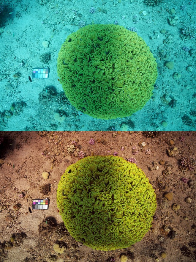 Choáng với phiên bản Photoshop “mini”: 1 giây hô biến hết sạch sông biển, ảnh chụp y như thế giới khác - Ảnh 1.