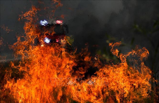 Australia đối mặt nguy cơ cháy rừng nghiêm trọng hơn - Ảnh 1.