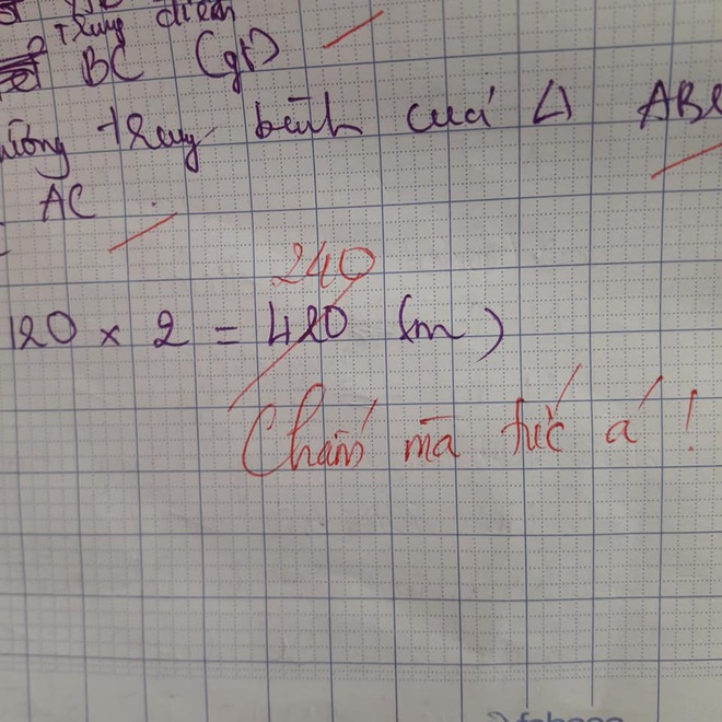 Học sinh làm sai phép toán cực kỳ dễ, cô giáo chấm bài chỉ biết nhận xét: Chấm mà tức á khiến dân mạng cười bò - Ảnh 3.