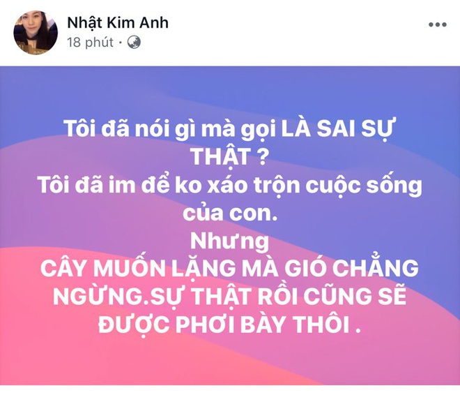 Nhật Kim Anh phản pháo cực gắt vì chồng tố bịa chuyện, chị gái tiết lộ em bị đánh bầm tím lúc mang thai - Ảnh 2.