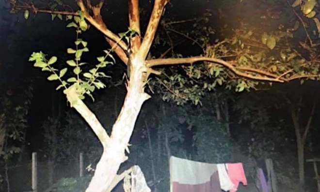 Cô gái 23 tuổi tử vong trong tư thế treo cổ trên cây ổi - Ảnh 1.