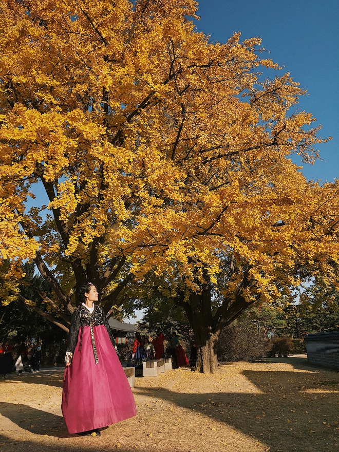 Công ty người ta không bao giờ làm tôi thất vọng: Du lịch Hàn Quốc theo concept, mỗi ngày đều chụp ảnh như thi Next Top Model - Ảnh 14.